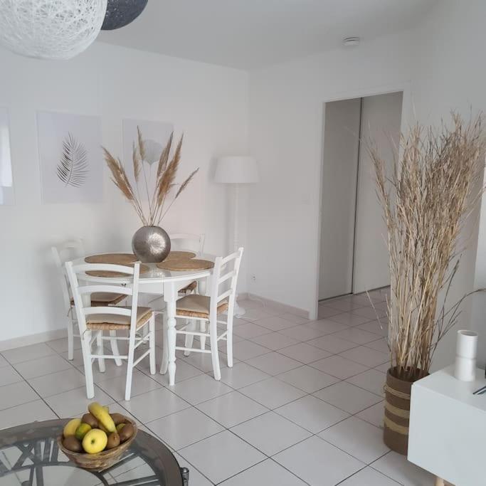 Appartement 63 M2, Tout Confort, Climatise. Saint-Cyprien (Pyrenees-Orientales) Exterior foto